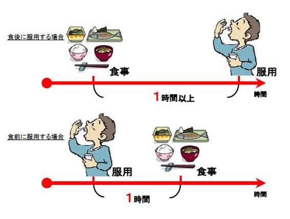 バイアグラの適切な服用タイミング