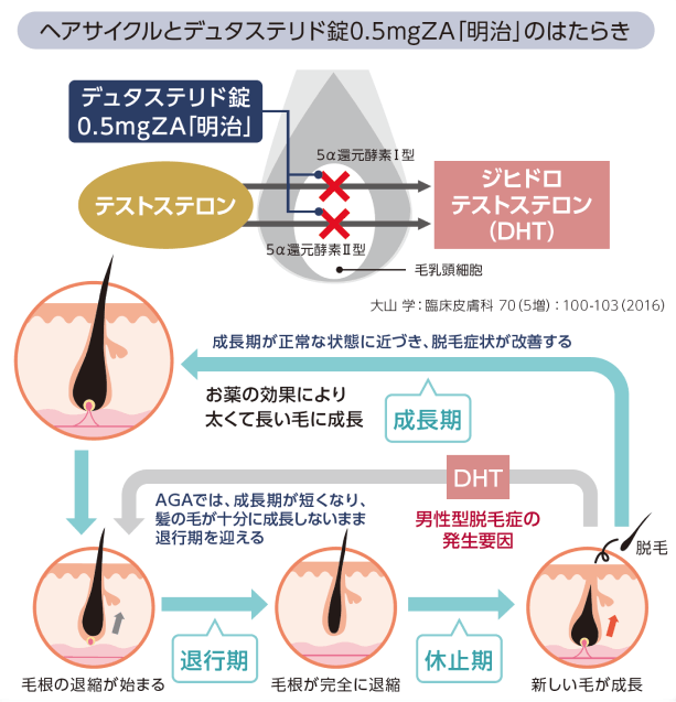 ヘアサイクルとデュタステリドカプセル0.5mgZA｢明治」の働き