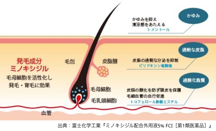 「成長期」「退行期」「休止期」