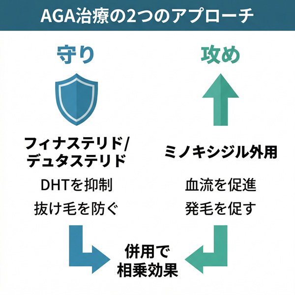 AGA治療の「守り」（フィナステリド/デュタステリドでDHT抑制）と「攻め」（ミノキシジル外用で発毛促進）の2アプローチと併用による相乗効果