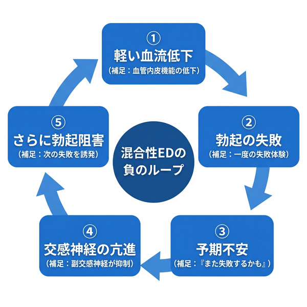 混合性EDが生まれる負のループ（軽い血流低下→勃起失敗→予期不安→交感神経の亢進→さらに勃起阻害）を循環型フローで示した図解